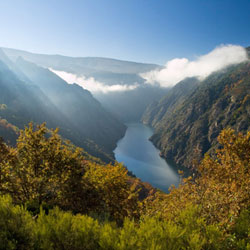 ASP Ozono en Ourense