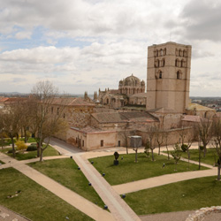 ASP Ozono en Zamora