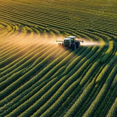 Bioestimulantes agrícolas