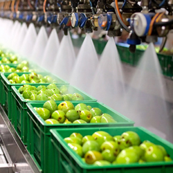 Lavado y desinfección de alimentos con agua ozonizada