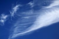 La mala calidad del aire provoca millones de muertes al ao