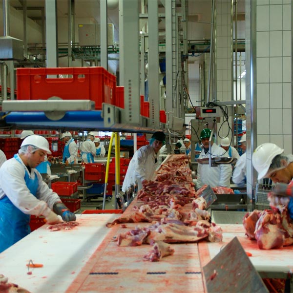 ozono para la industria cárnica