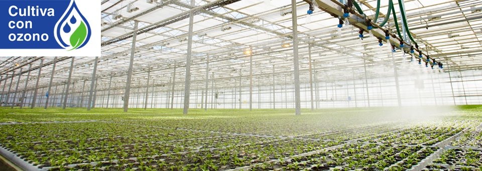 Ozono para la Agricultura