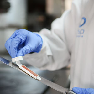 Segurança e higiene alimentar e HACCP